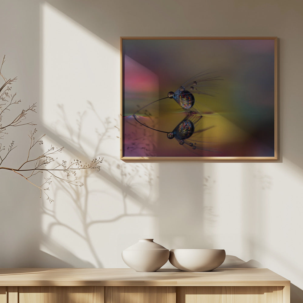 Väritä pimeys | Julisteet - Taidevedokset