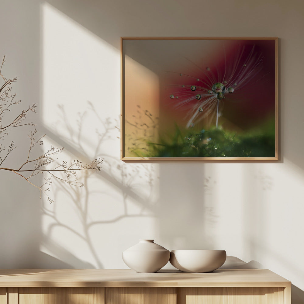 Punainen aamu | Julisteet - Taidevedokset