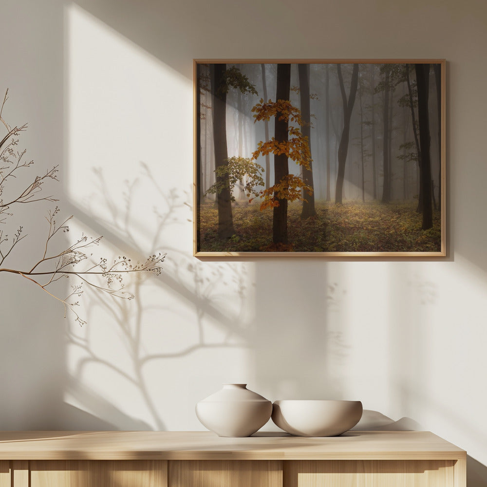 In November Light | Poster