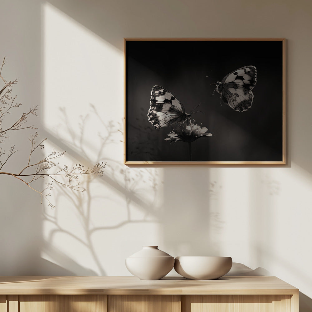 Pohjoinen puolisurunen | Julisteet - Taidevedokset