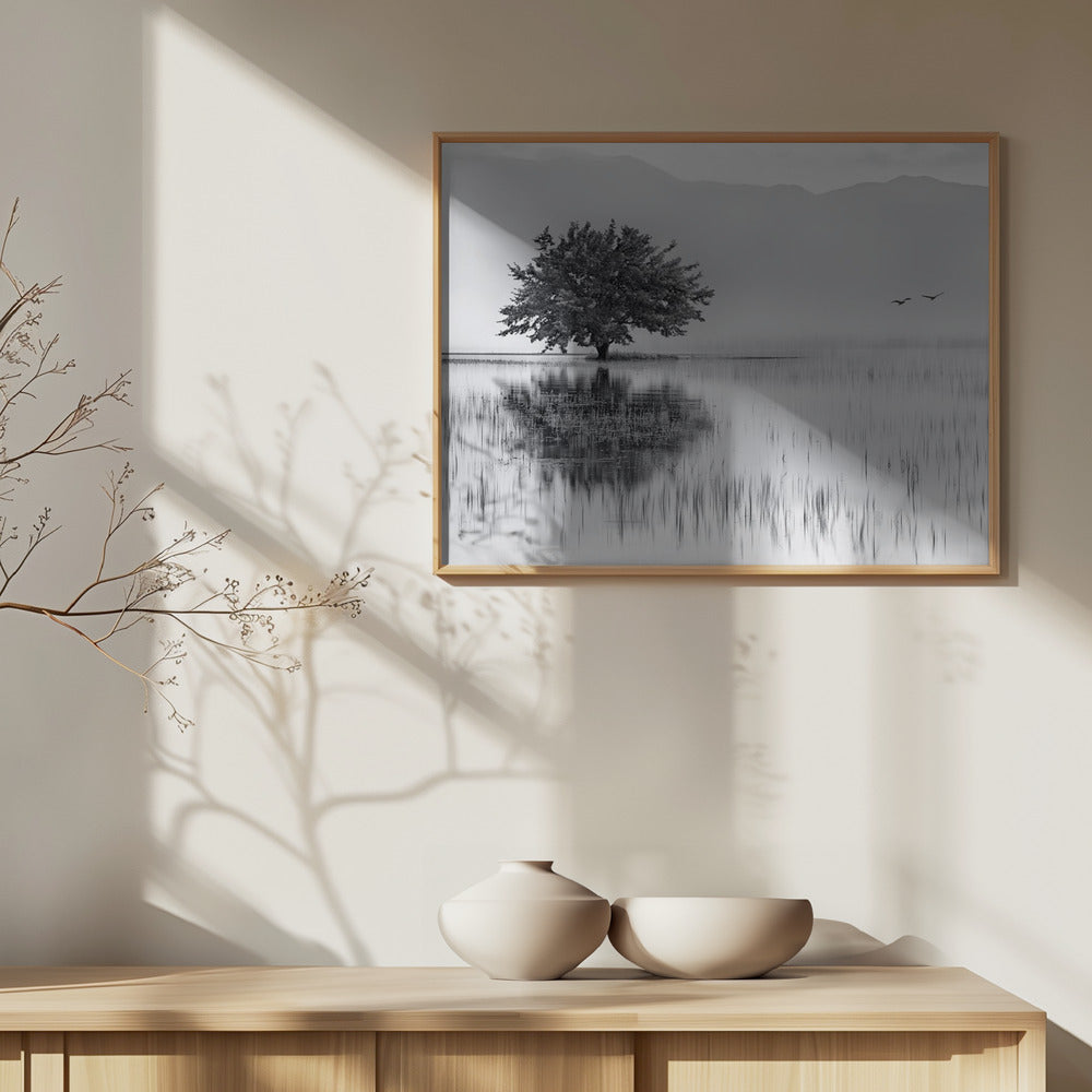 Spring Mirror | Poster