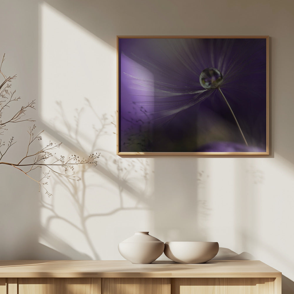 Violetin sävyissä | Julisteet - Taidevedokset