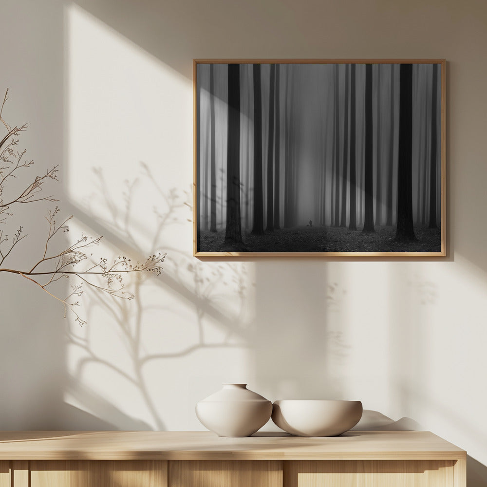 Labyrintti | Julisteet - Taidevedokset