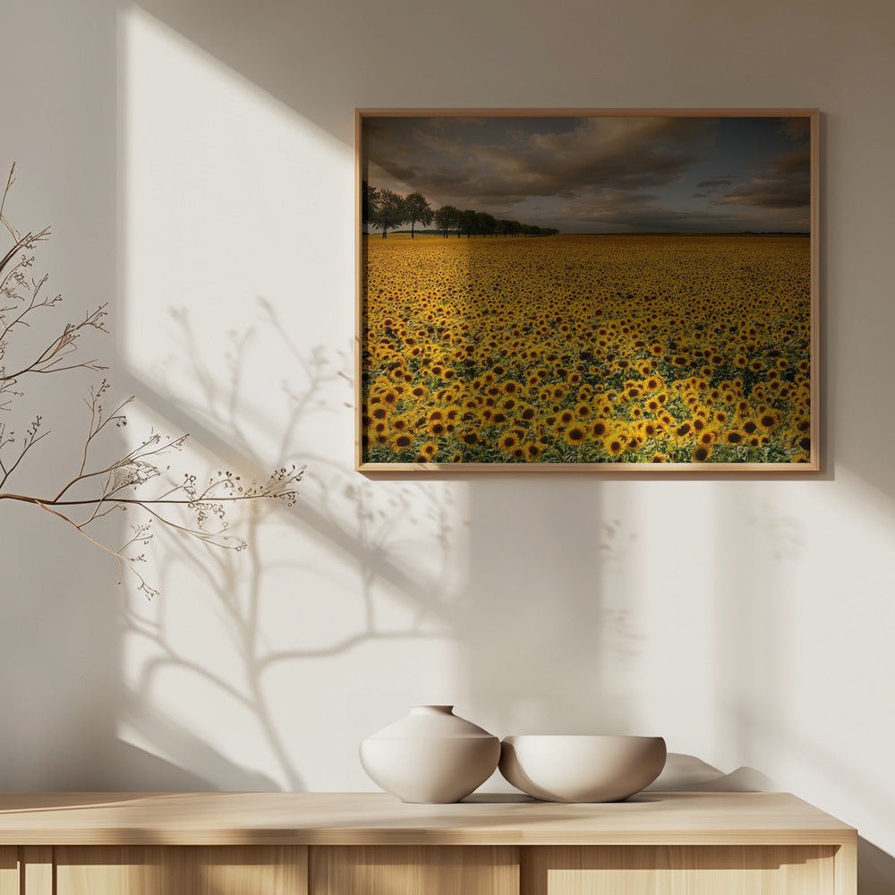 Sunflowers | Poster