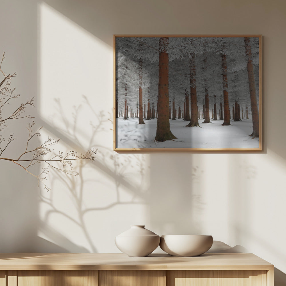 Valkoisessa | Julisteet - Taidevedokset