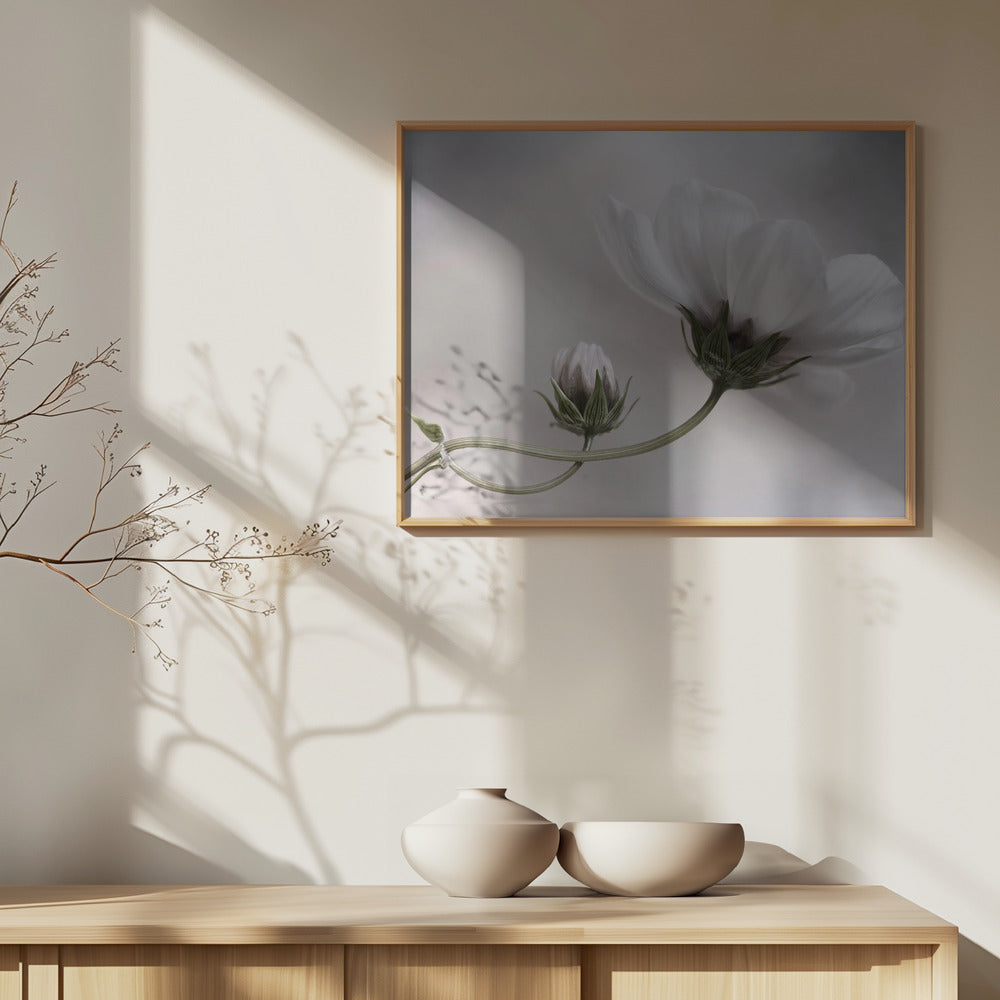 Yksinkertaisesti Kosmos | Julisteet - Taidevedokset