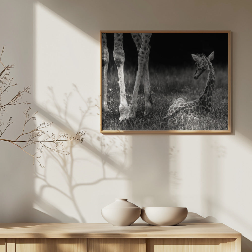 hyvin suojattu | Julisteet - Taidevedokset