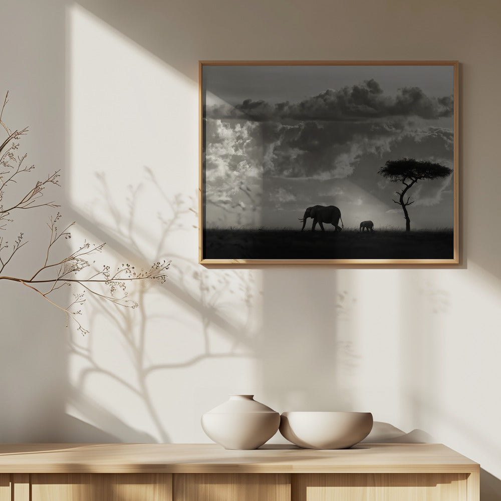 Maran siluetit | Julisteet - Taidevedokset