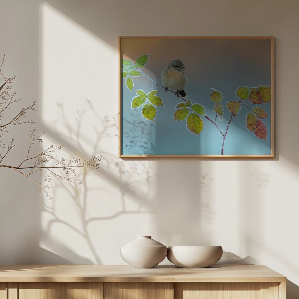 Winter colors | Poster