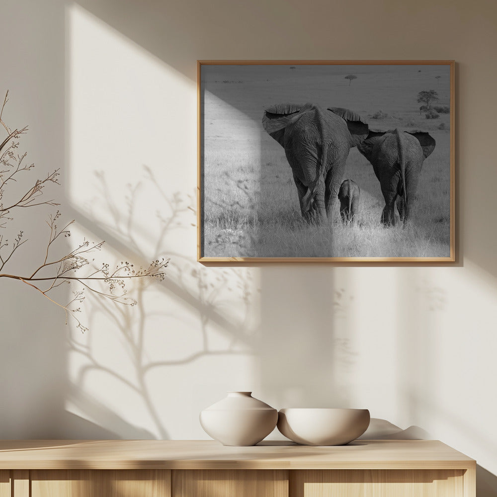 Drei Hintern! | Poster - Kunstdruck