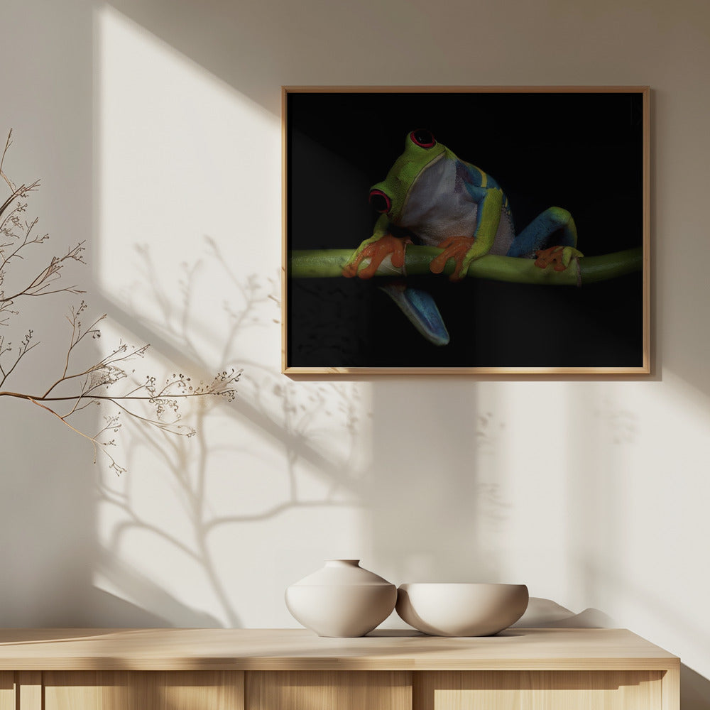 Curiosity | Poster
