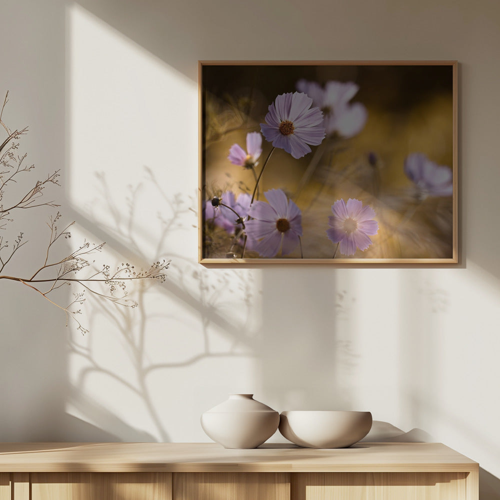 Leijonakuningas | Julisteet - Taidevedokset