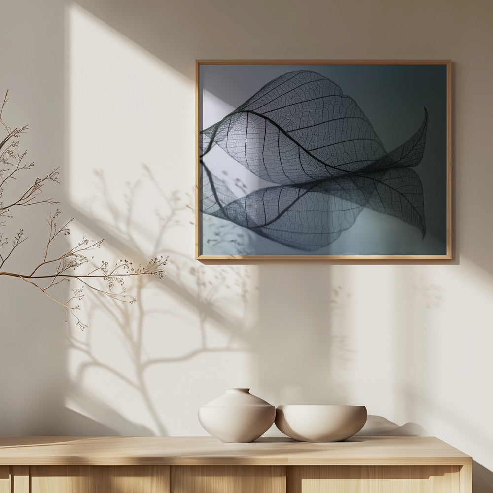 Kaarevuus | Julisteet - Taidevedokset