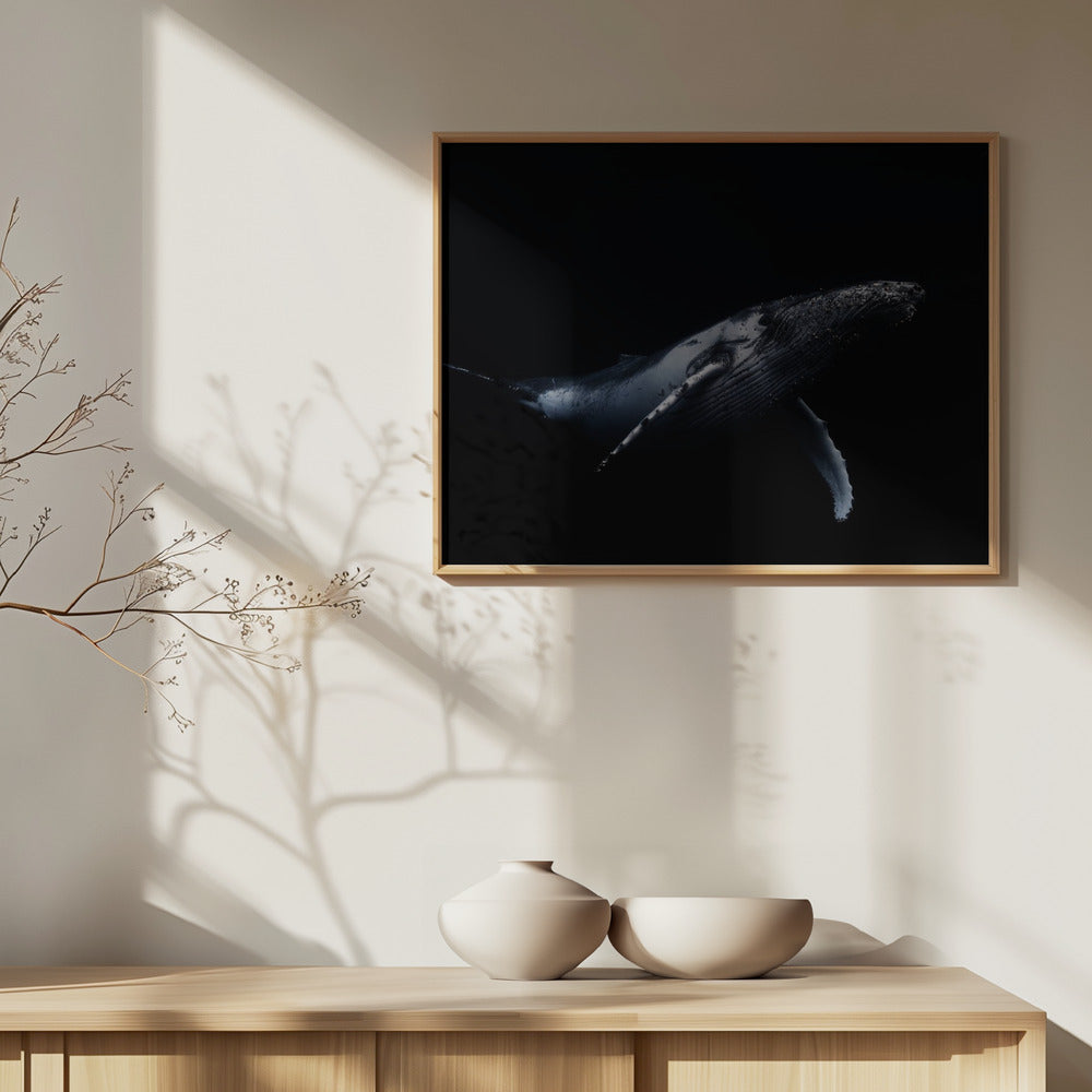 Musta ja valas | Julisteet - Taidevedokset