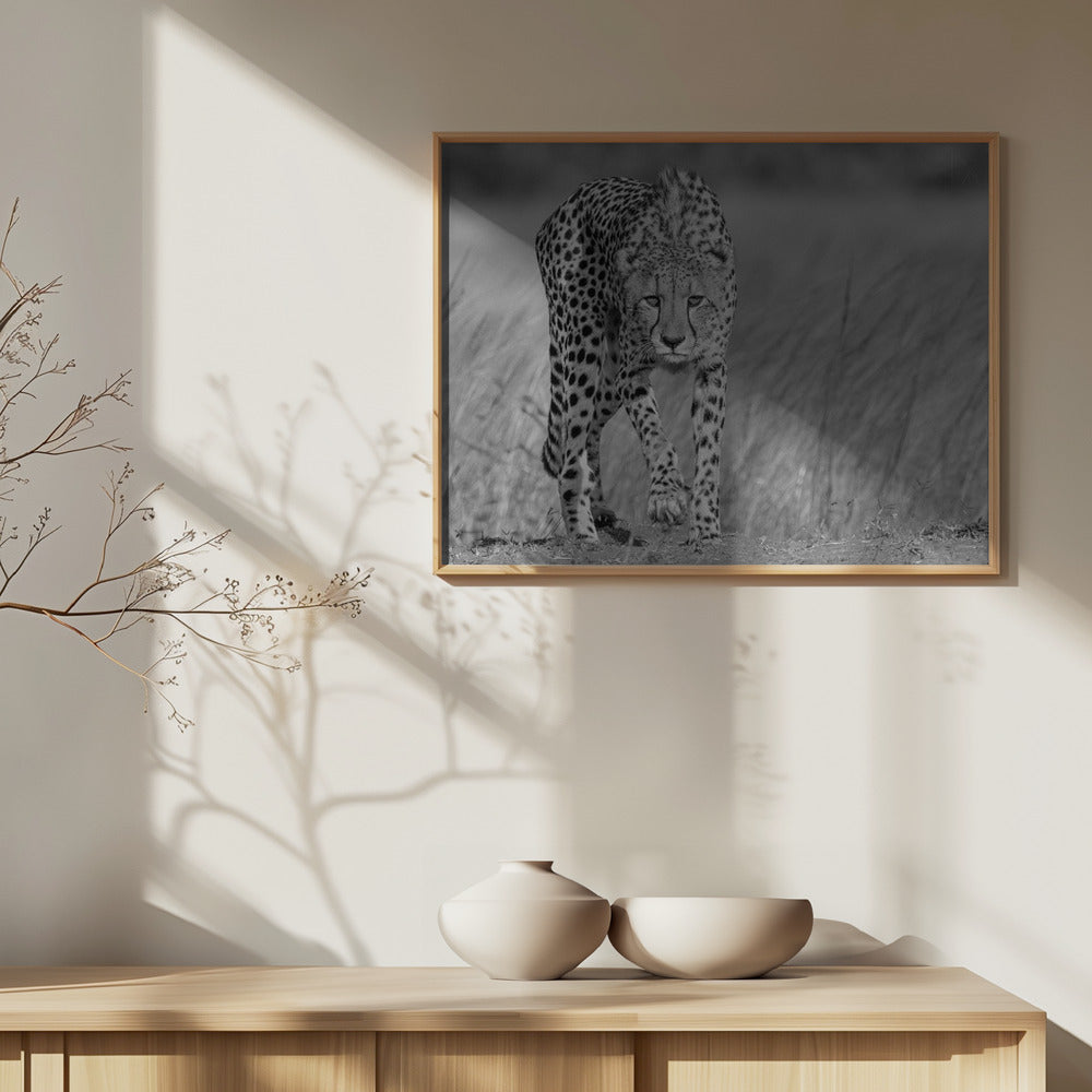 Keskittynyt saalistaja | Julisteet - Taidevedokset