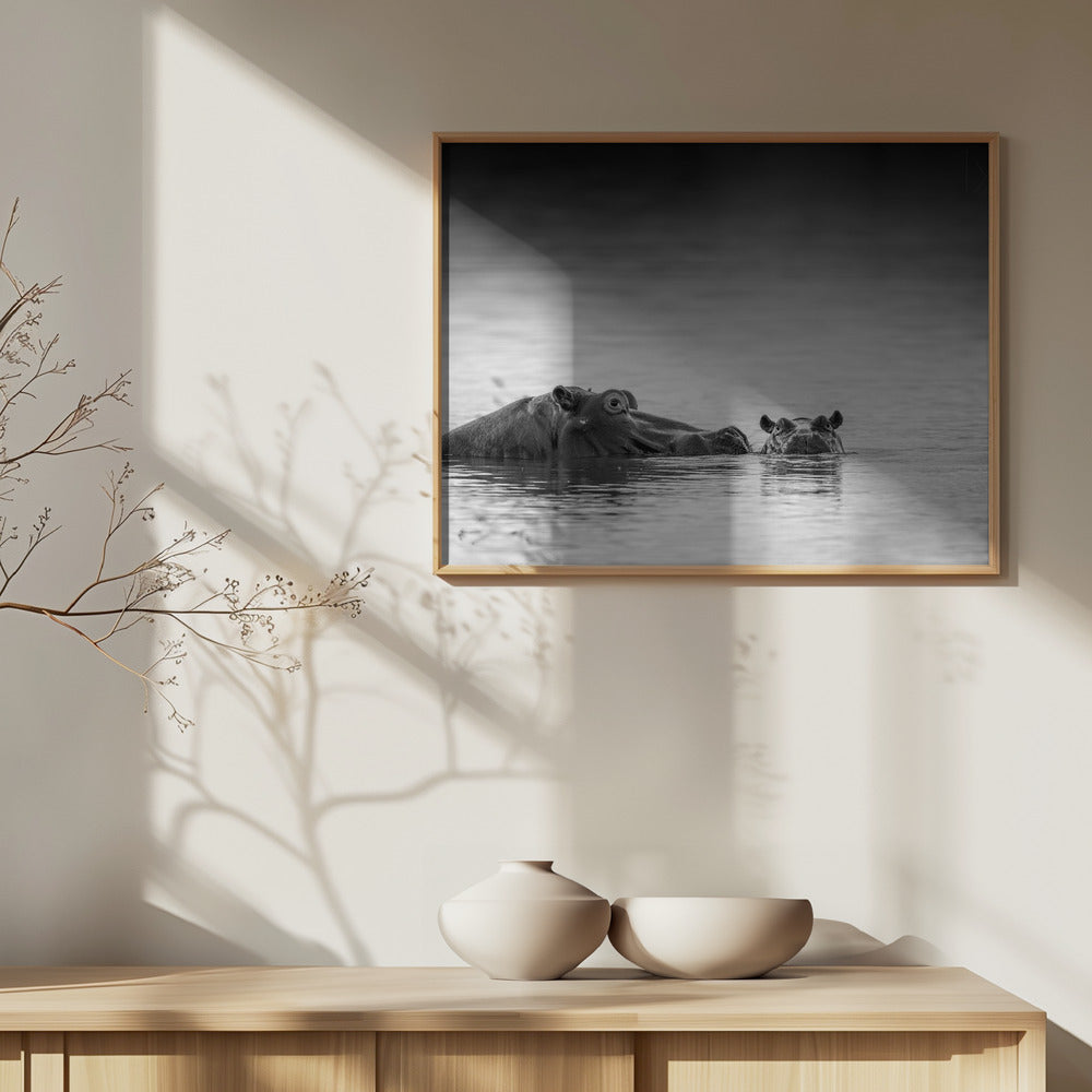 Silmien taso | Julisteet - Taidevedokset