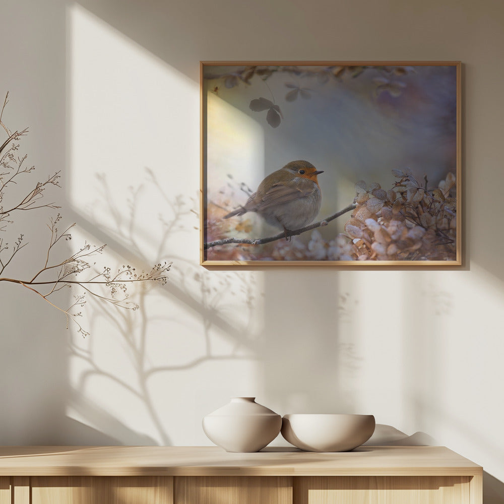 Robin unelmissa | Julisteet - Taidevedokset