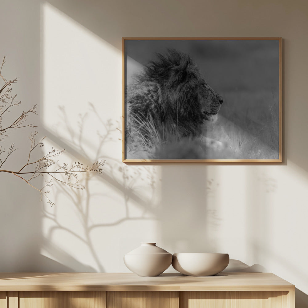 Kuningas on yksin | Julisteet - Taidevedokset