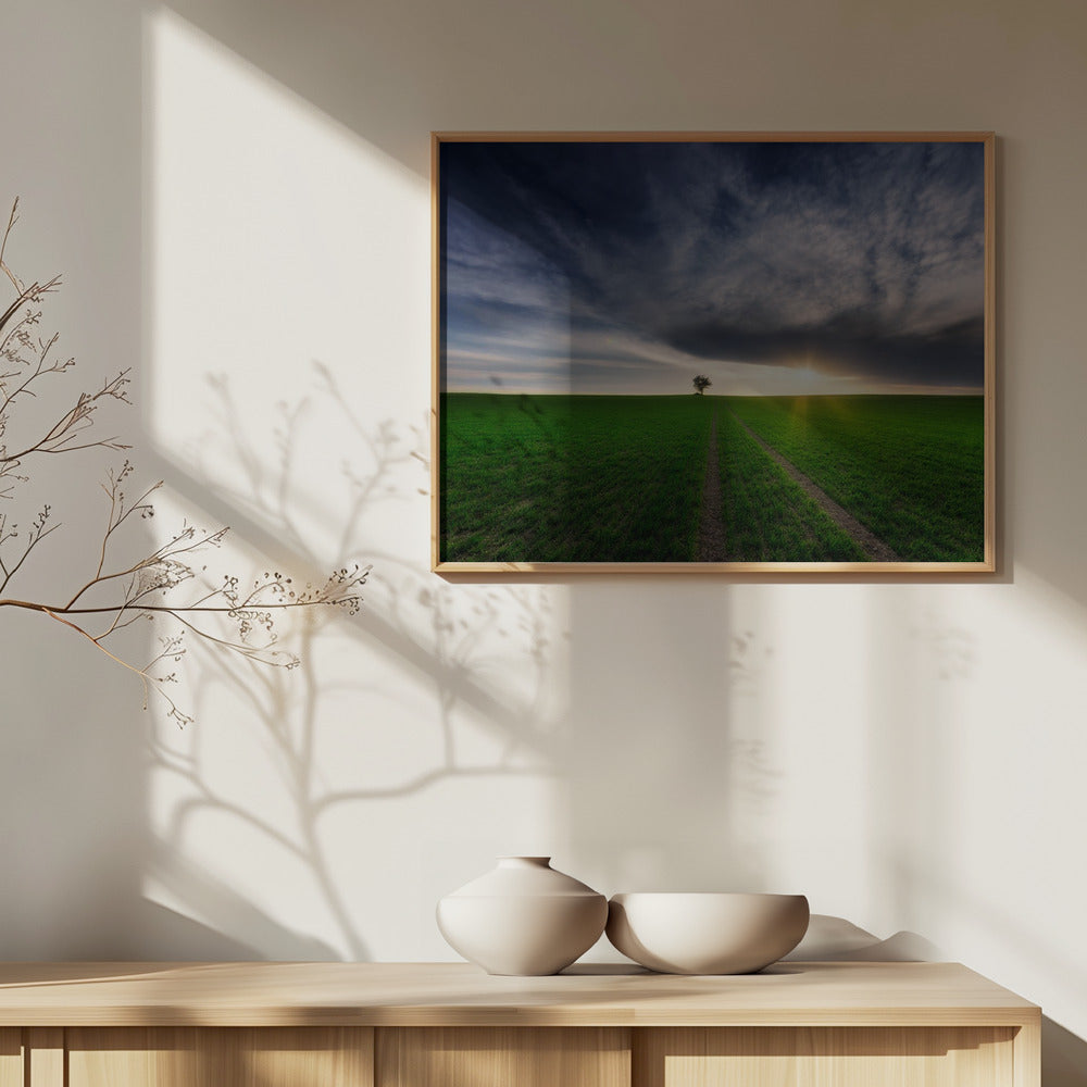 yksinäinen auringossa | Julisteet - Taidevedokset