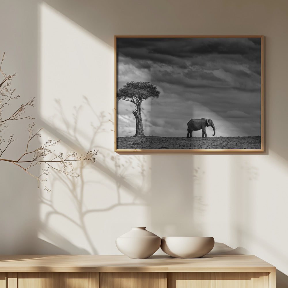 Elephant Landscape | Poster