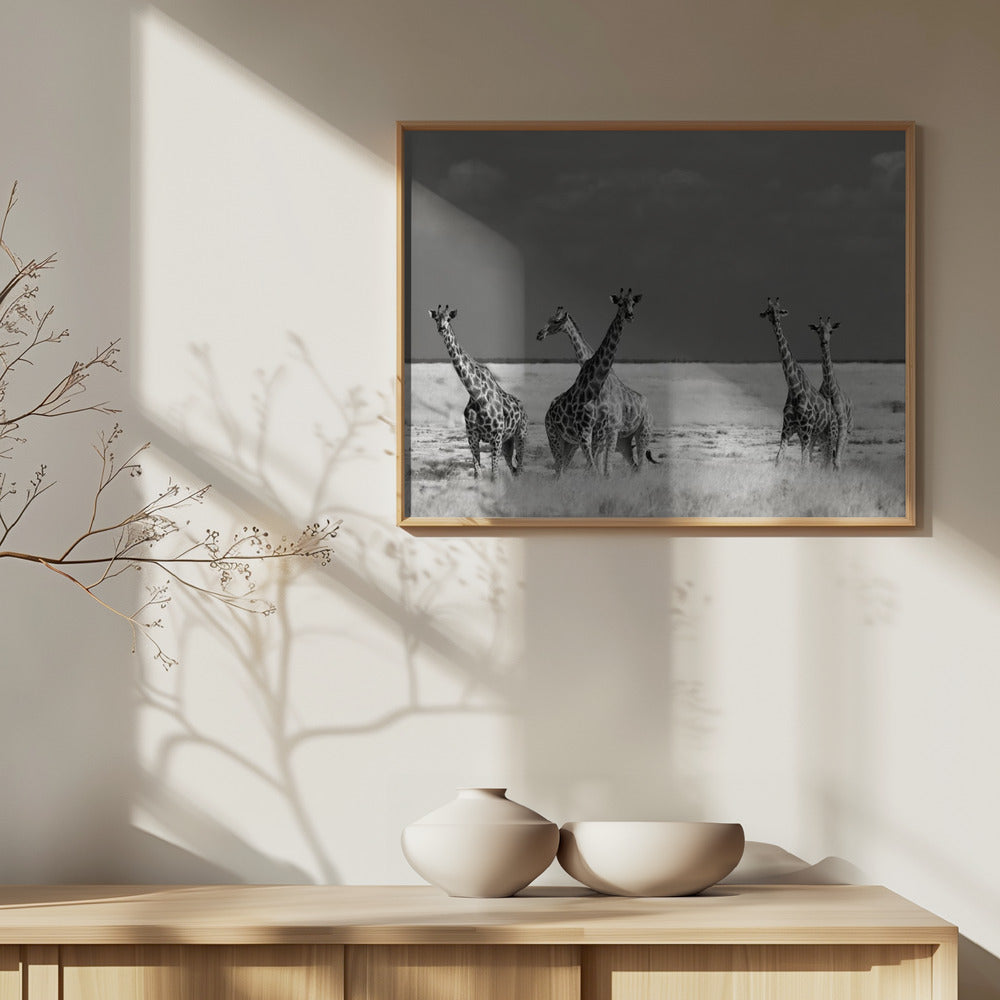 Schau mal, Mädchen, seltsame Tiere | Poster - Kunstdruck