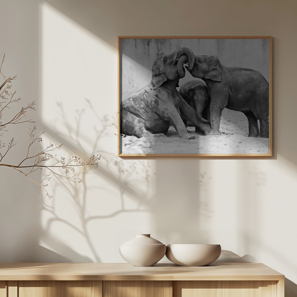 TRES VÍAS | Posters  - Impresiones de Arte