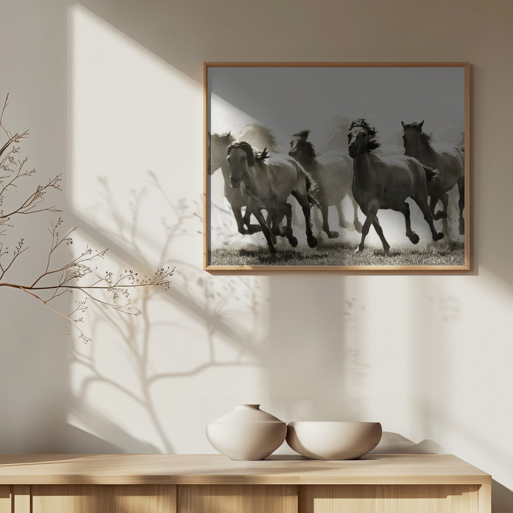 Hevonen | Julisteet - Taidevedokset