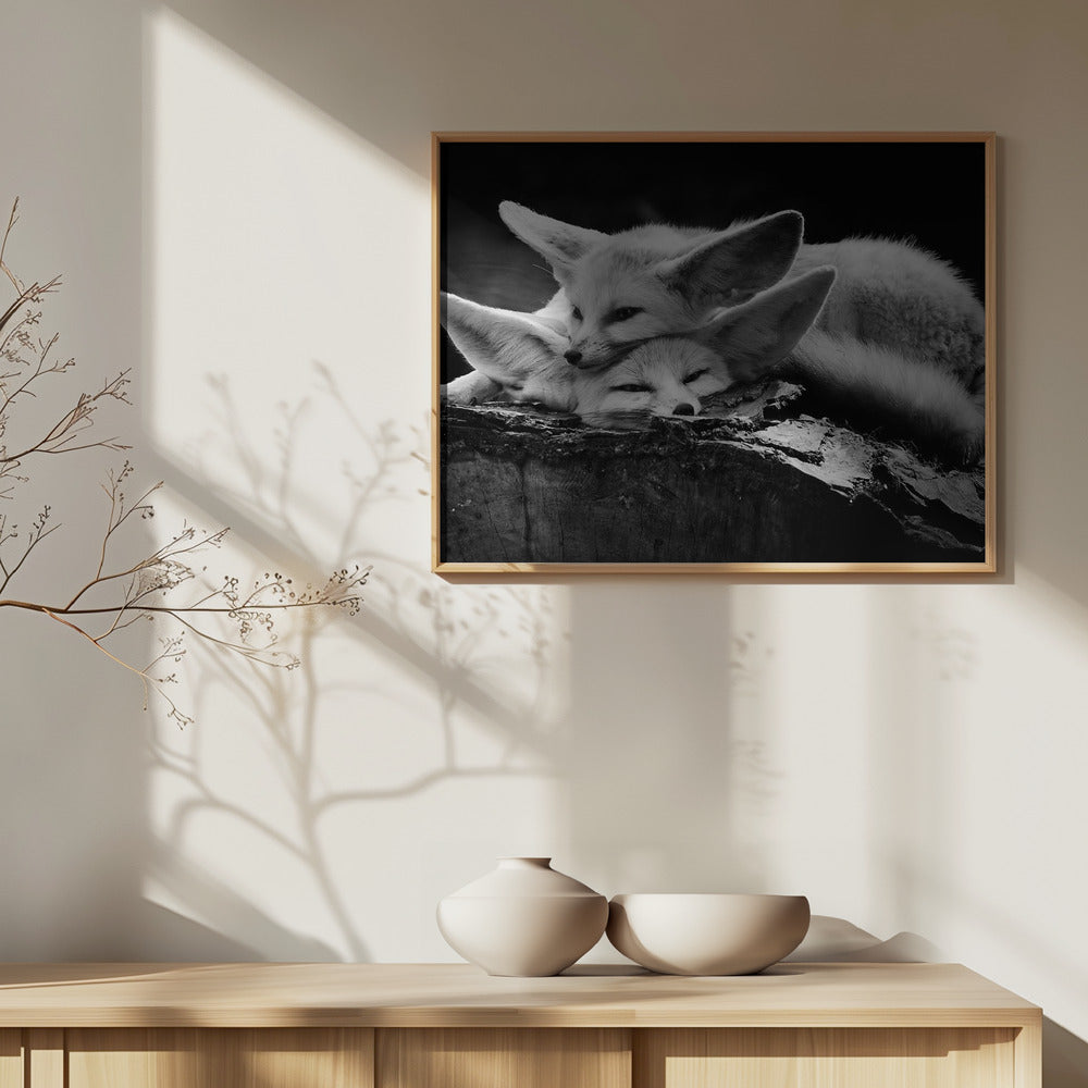 Onnellinen pari | Julisteet - Taidevedokset