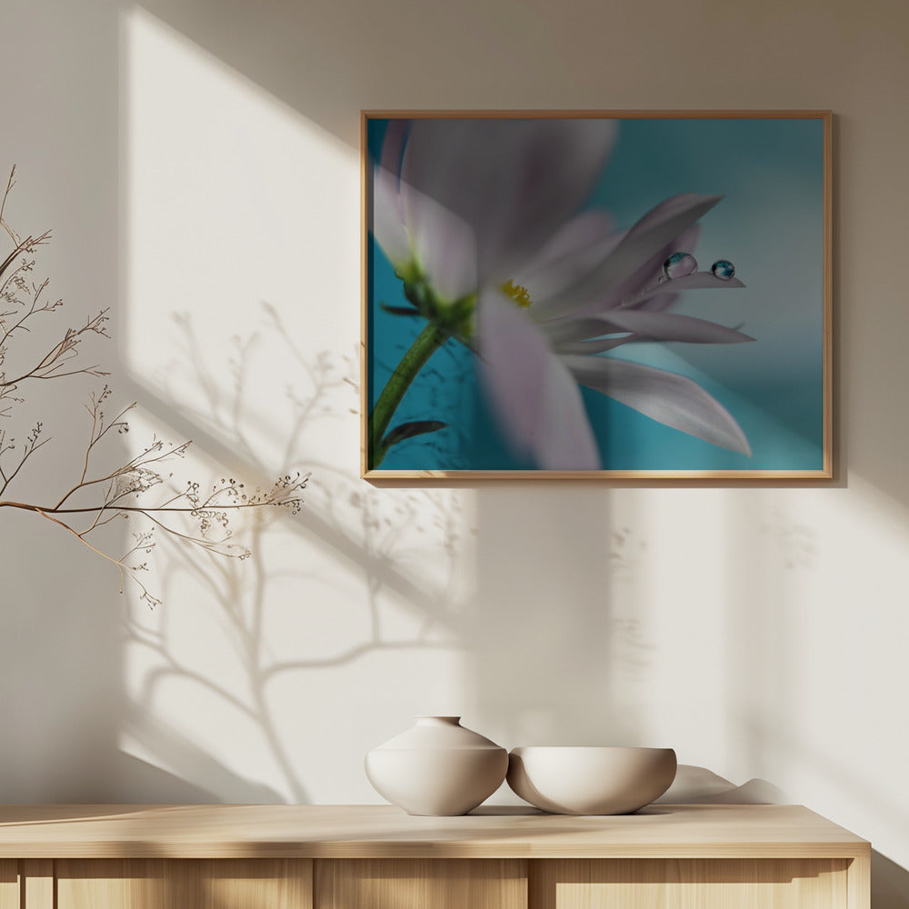 Turkoosi yritys | Julisteet - Taidevedokset