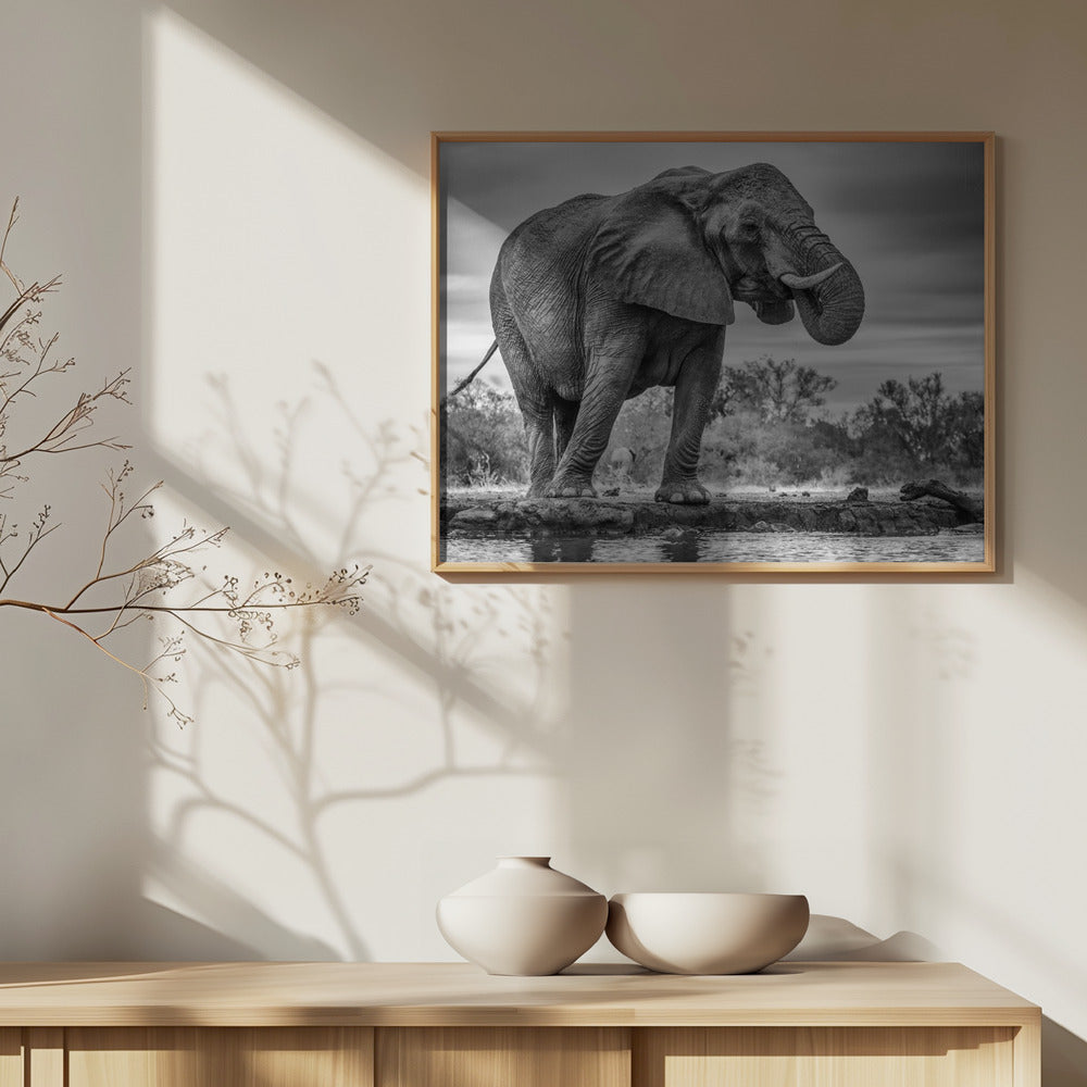 Seisova ylpeänä | Julisteet - Taidevedokset