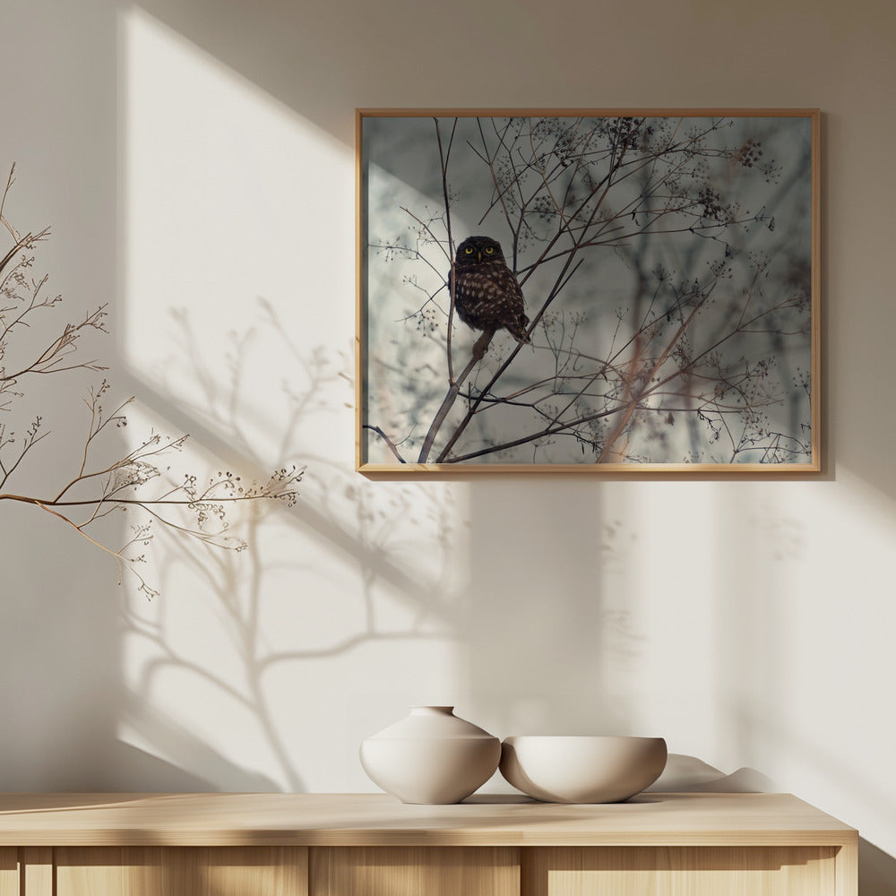 ¡Mírame! | Posters  - Impresiones de Arte