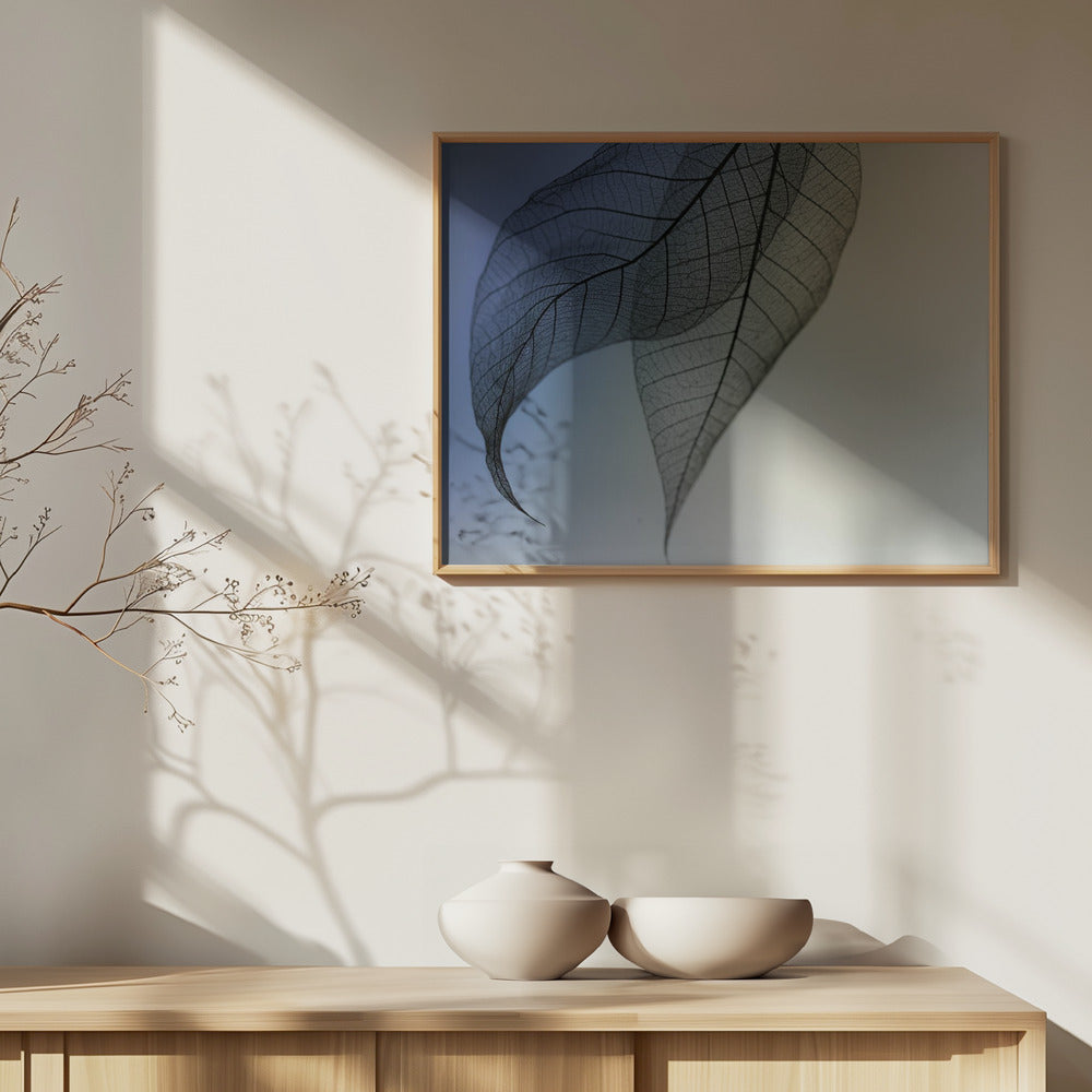 Kavatina | Julisteet - Taidevedokset