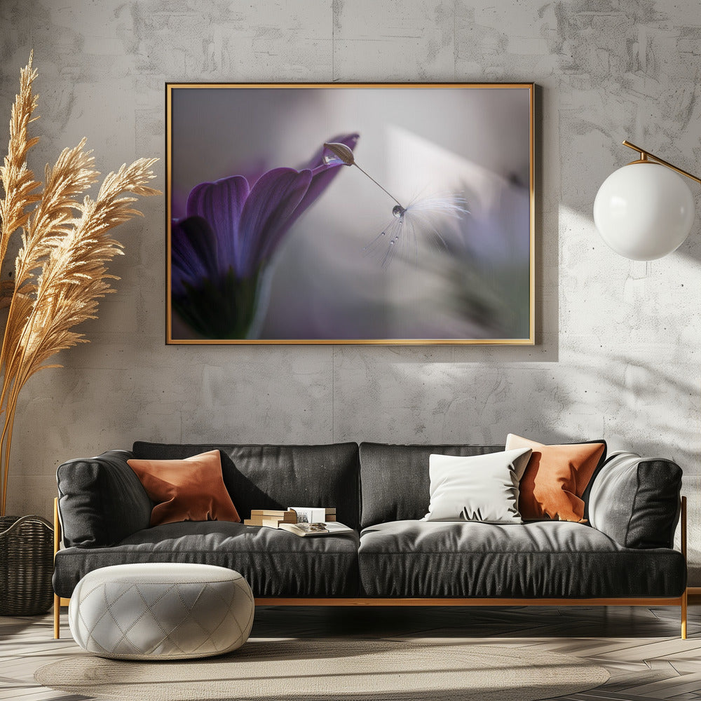 Violetti sade | Julisteet - Taidevedokset