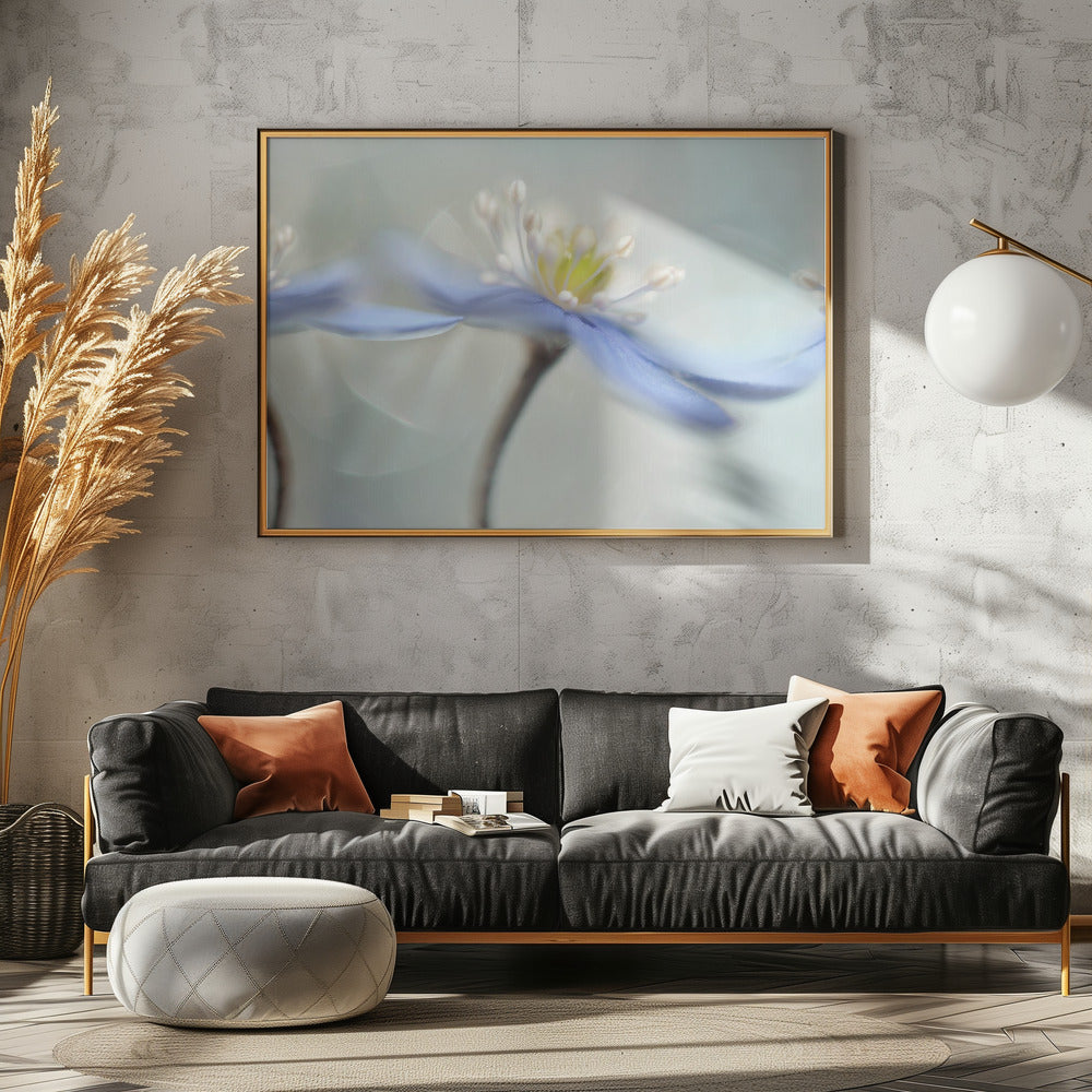Dancing anemones | Poster