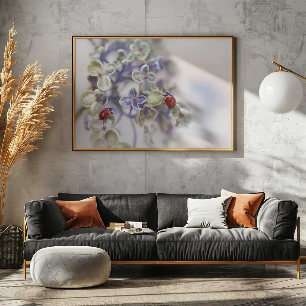 Hauras | Julisteet - Taidevedokset