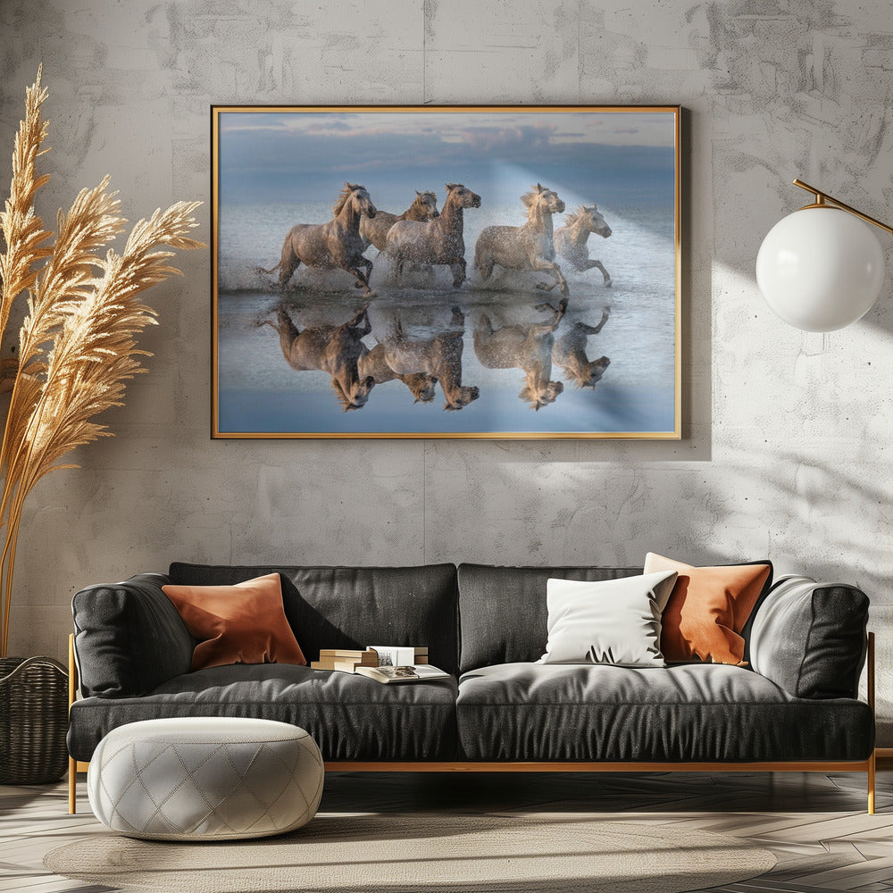 Horses and reflection | Poster
