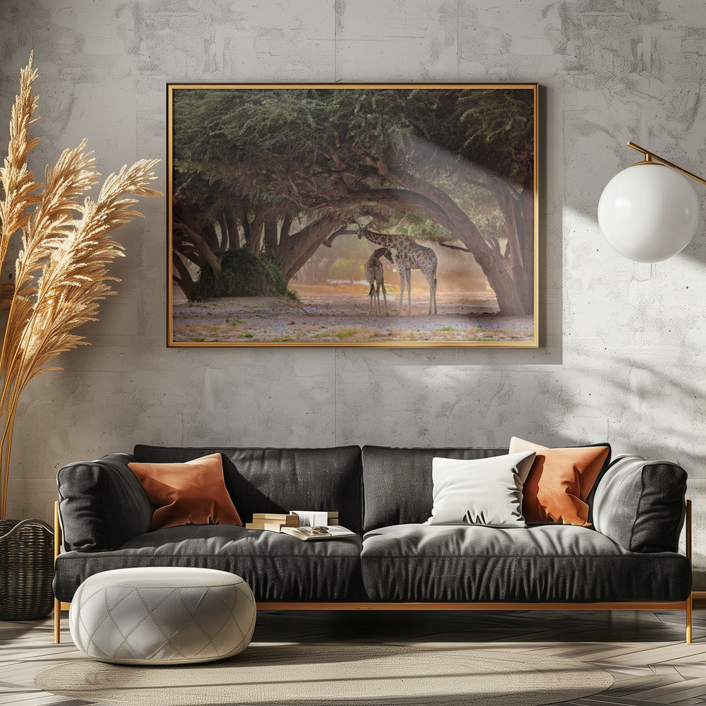 Kirahvi - Namibia | Julisteet - Taidevedokset