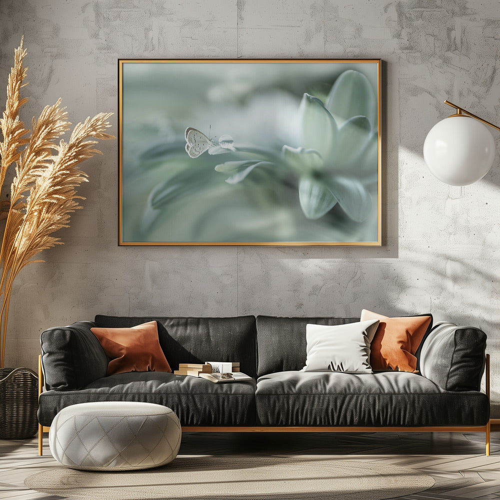 taikapallo | Julisteet - Taidevedokset