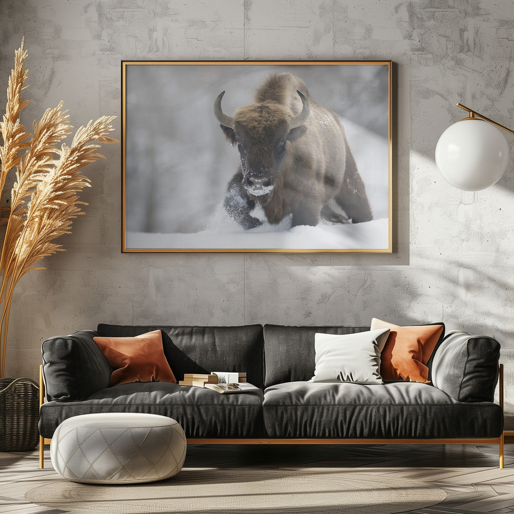 Uudelleen villiintynyt | Julisteet - Taidevedokset