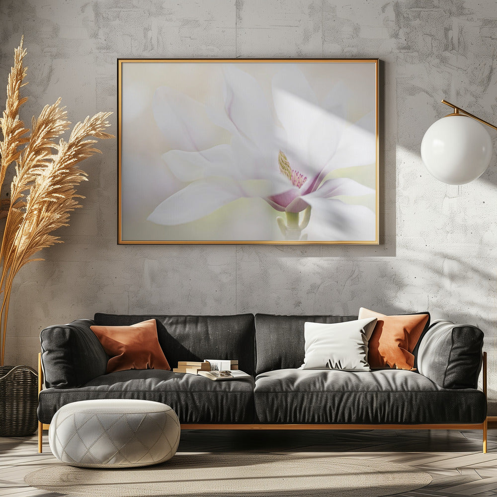 Puhtaus | Julisteet - Taidevedokset