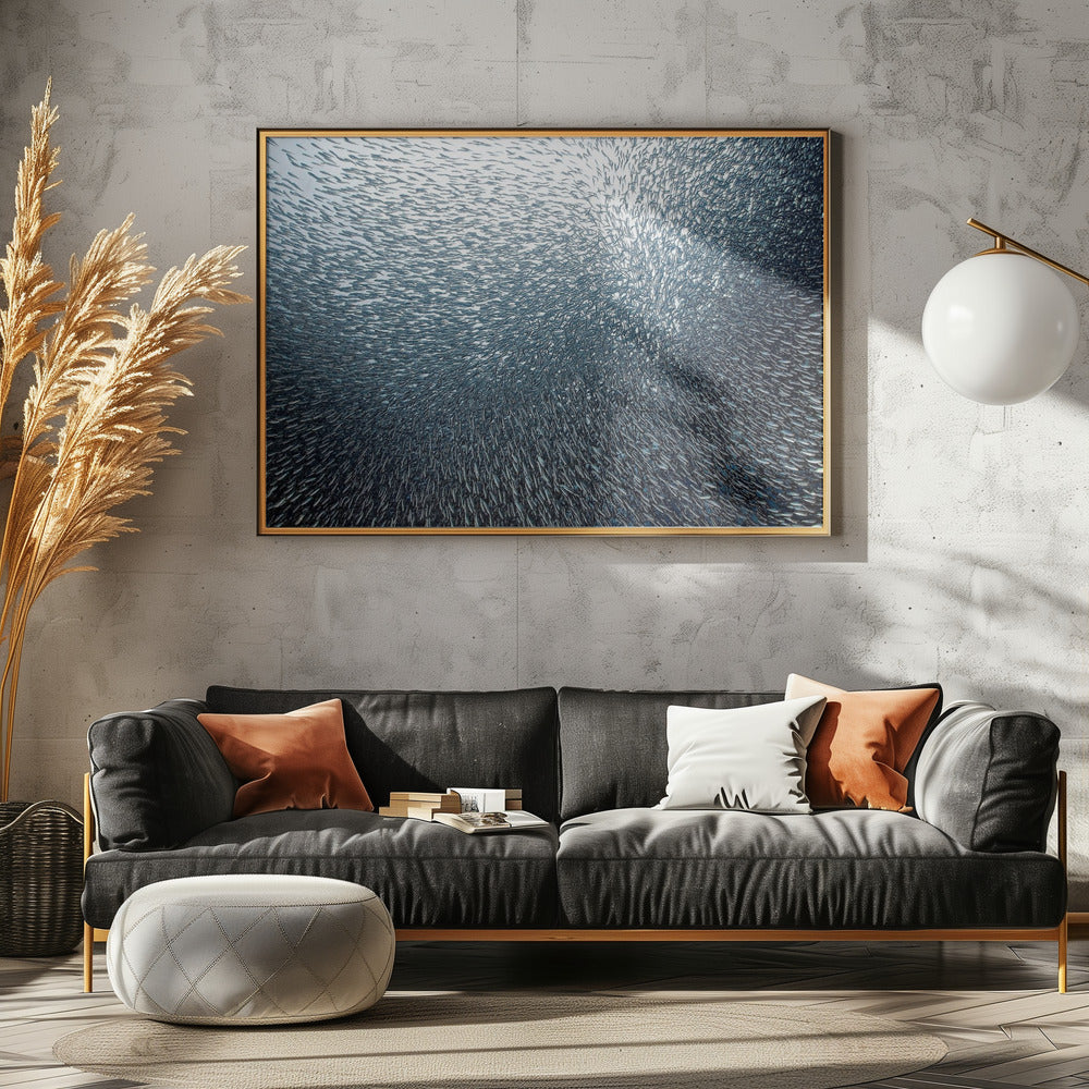 Sardiinien ilotulitus | Julisteet - Taidevedokset