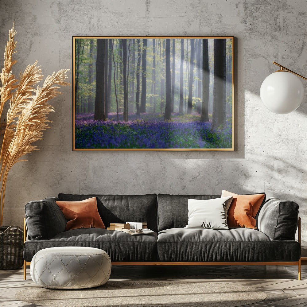 Bluebells | Poster