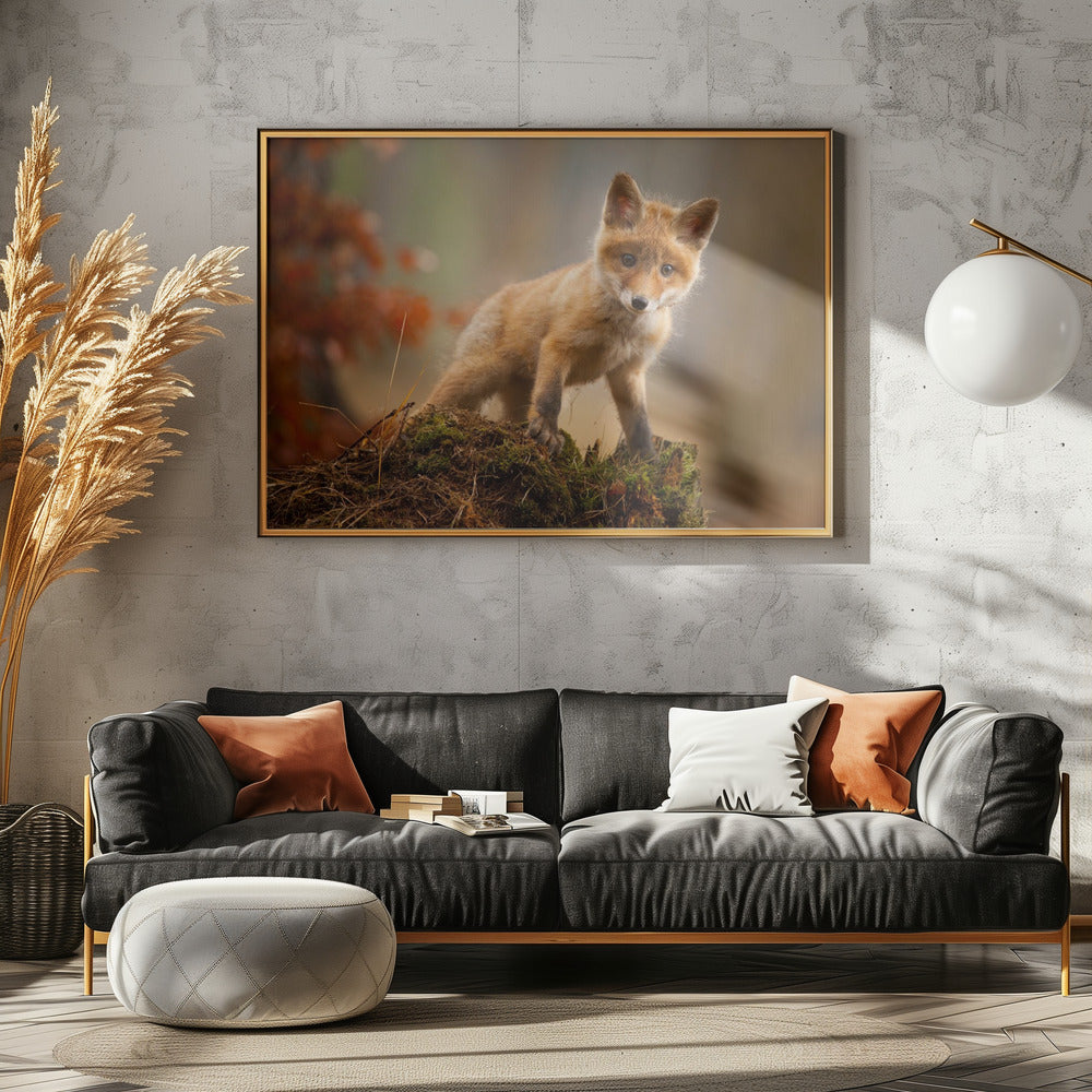 Fox | Poster