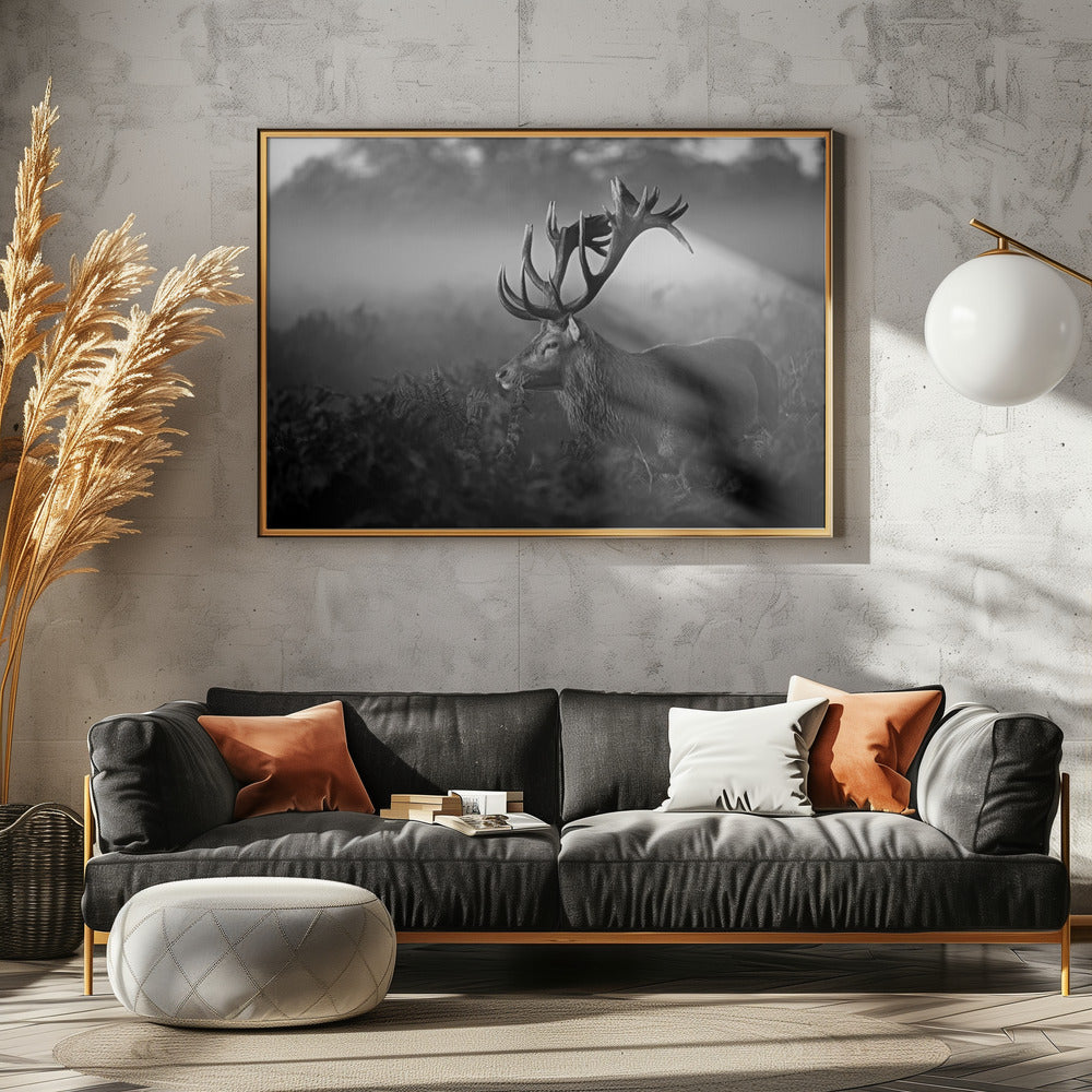 Aurinkoinen aamu | Julisteet - Taidevedokset