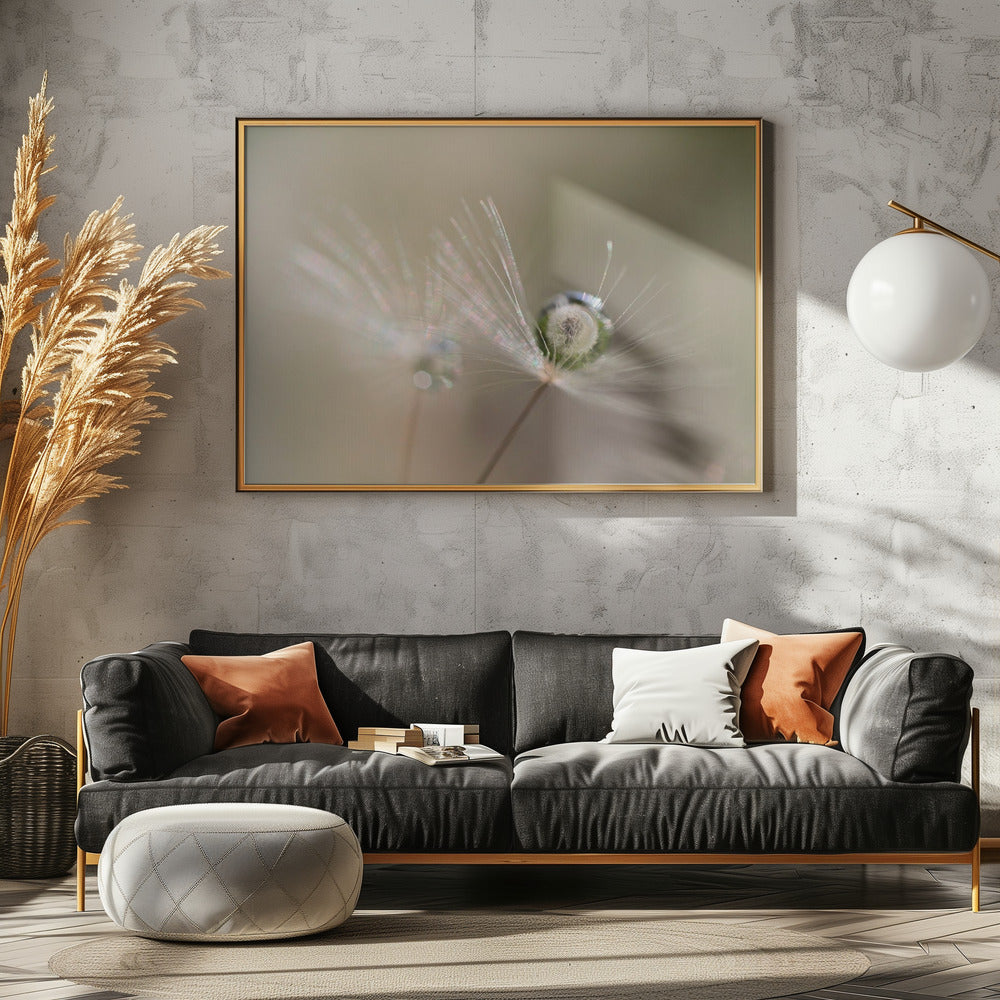 Voikukan tähti | Julisteet - Taidevedokset