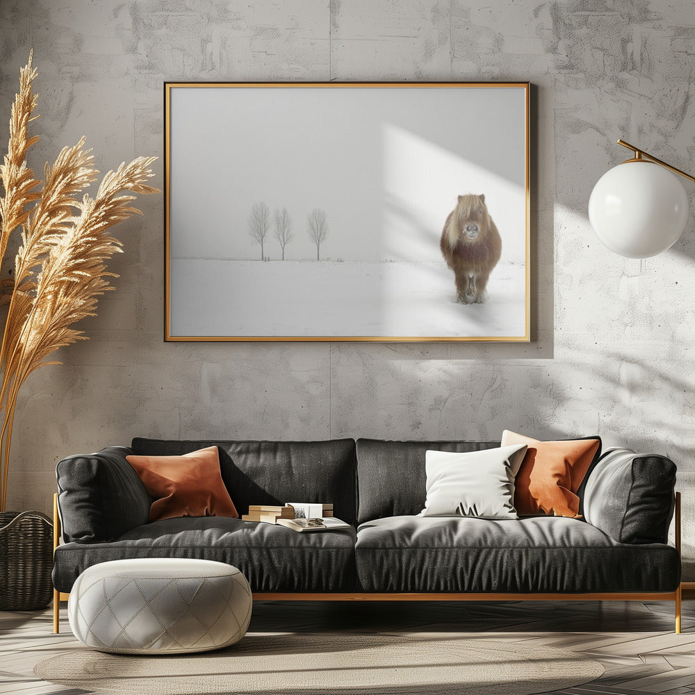 Kylmä poni | Julisteet - Taidevedokset