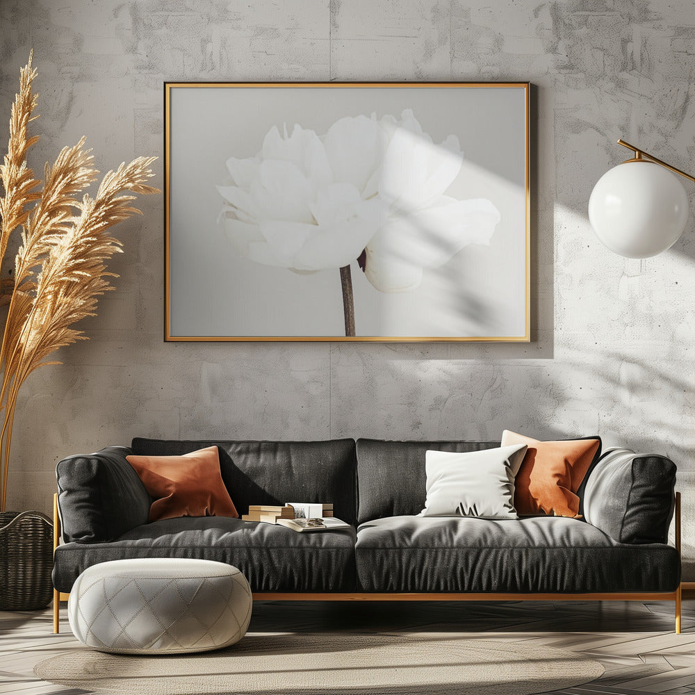 Peony 11 | Poster