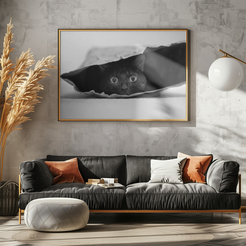 Cat in a bag | Poster