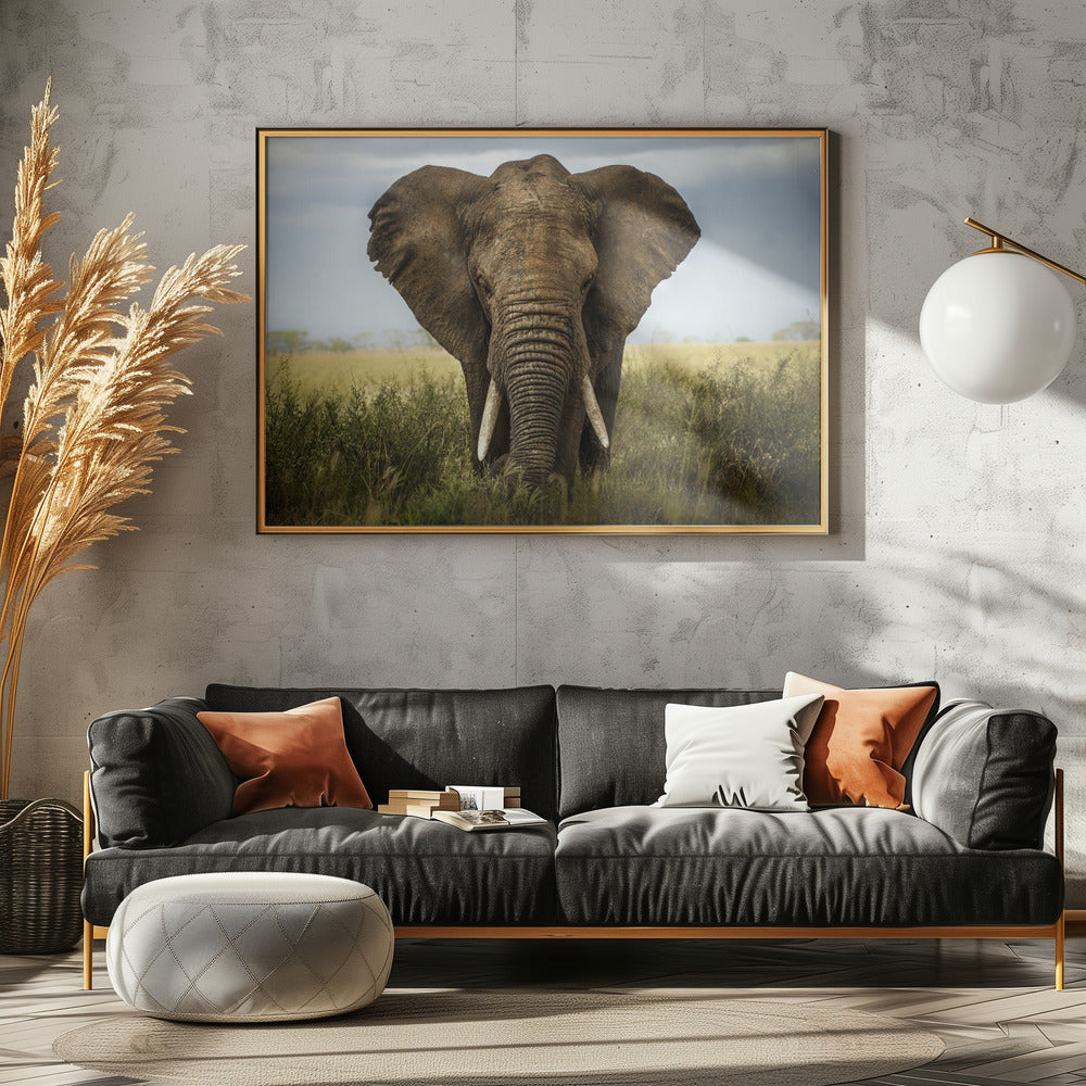 Encounters in Serengeti | Poster
