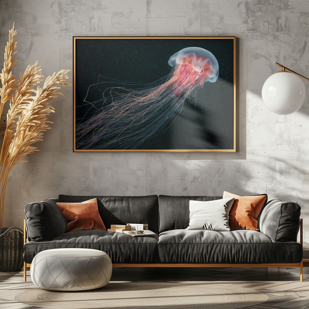 Pitkähäntäinen | Julisteet - Taidevedokset